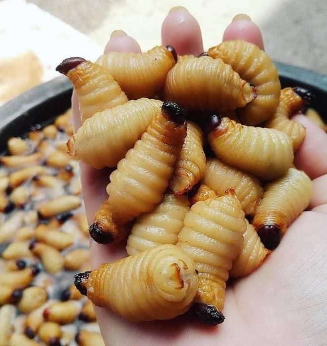 baiviet2